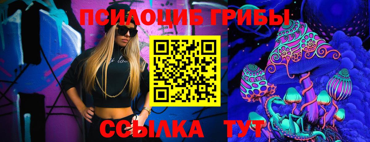 Галлюциногенные грибы Psilocybe Назрань