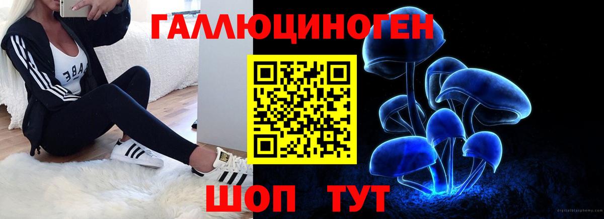 цена   Псилоцибиновые грибы Magic Shrooms  Вход с VPN  Назрань 